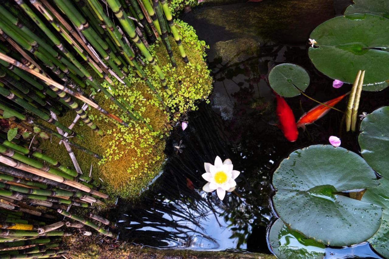 Отель La Martinoise Garden Сен-Мартен-де-Ре Экстерьер фото